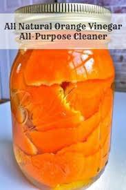 Homemade Orange Cleaner Orange Peels And Vinegar Works Better Than Lime Away On Hard Water Deposits Is Orange Peel Vinegar Vinegar Cleaning Orange Cleaner