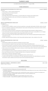 transformation consultant resume sample
