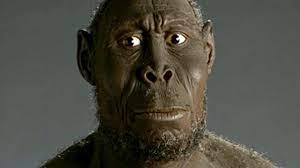 Seit wann gibt es eigentlich die zahnbürste? Geschichte Die Evolution Des Menschen Geolino