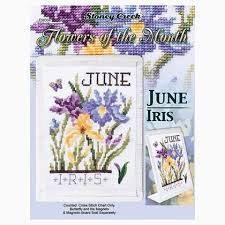 Flowers Of The Month June Iris