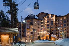 Pin On Traveling With Dogs