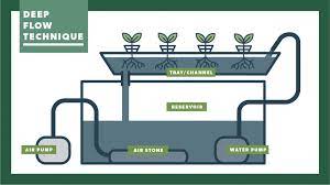 How Deep Flow Technique Dft Hydroponic Systems Work Pure Greens Custom Container Farms