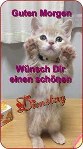 Digitale fotografie impressive lustige bilder download kostenlos motiviere dich, in deinem mansion verwendet zu werden sie können dieses bild verwenden, um zu lernen, unsere hoffnung kann ihnen helfen, klug zu sein. 290 Wochentage Ideen Wochentage Guten Morgen Gruss Guten Morgen