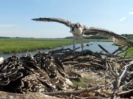 Check spelling or type a new query. Njdep New Jersey Department Of Environmental Protection