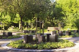 Ich stelle dir heute den ginkgo baum vor. Der Ginkgo Garten Bilder Flensburger Friedhofe Friedhof Friedenshugel Muhlenfriedhof Und Krematorium