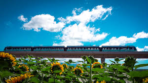 Mayor Rick Blangiardi