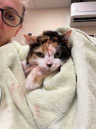 Update 11/12/24: The Good Samaritan that found her called to check