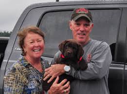 Silver labrador puppies for sale nc. Ruff Rences English Mountain Labradors