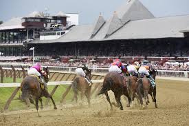Saratoga Meet Likely To Expand In 2019 The Daily Gazette