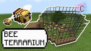 The hit title has continued to evolve since launching 10 years ago, and at times can feel like a very different game. Minecraft Bee Terrarium By Creativechan Youtube