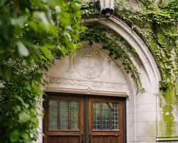 Image result for anglický setr lawerak