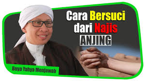 Mimpi anjing betina menunjukkan arti perempuan hina dari golongan yang hina pula. Cara Bersuci Dari Najis Anjing Buya Yahya Menjawab Youtube