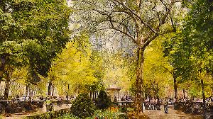 Motion design free acrobatic yoga workshop rittenhouse square philadelphia pa. Rittenhouse Square Philadelphia 01 Yoga Mat For Sale By Am Fineartprints