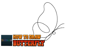 See butterfly line drawing stock video clips. How To Draw Butterfly In A Continuous Line Easy Step By Step For Kids Butterfly Drawing Tutorial Youtube