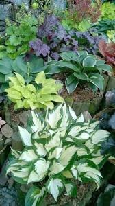 Garden Landscaping Fabric During Garden Landscaping Torbay Shade Garden Plants Small Backyard Landscaping Plants