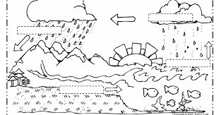 The Water Cycle 5 Pdf Biology Worksheet Water Cycle Preschool Calendar