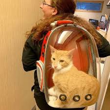 I'd like to hear from anyone who has one. Cat Bubble Backpack Cat Window Backpack For Outdoor Traveling Lovecatmore