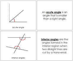 Study Of Angles Book Teaching Geometry Geometry Lessons Geometry Book