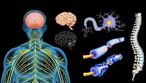 La Esclerosis Múltiple tiene unas expectativas y esperanza de vida geniales  que se acercan casi a la normalidad” - Doctor Mosqueira