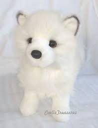 Pin On Dog Info
