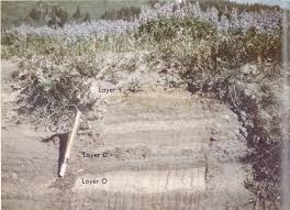 The Geologic Story Of Mount Rainier By Dwight R Crandell A Project Gutenberg Ebook