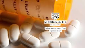 Image result for Hydrocodone