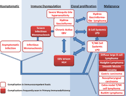 Hemorrhagic syndrome n causes of hemorrhagic syndrome in leukemia: Severe Epstein Barr Virus Infection In Primary Immunodeficiency And The Normal Host Worth 2016 British Journal Of Haematology Wiley Online Library