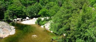 Get information about our member campsites in dordogne and. 4 Franzosische Campingplatze An Einem Kleinen Fluss