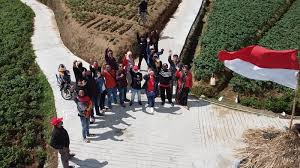 Agrowisata Sayuran Majalengkanya Magelang Derap Juang