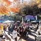 78th Original Ozark Folk Festival