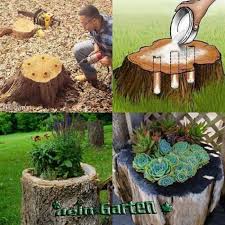 Make full use of birmingham botanical gardens discount codes at coupert uk, you can be relaxed and comfortable. Atlanta Botanical Garden Discount Codes Gardening Youtube 2018 Movies Garden Top Dressing Flower Planters Backyard Landscaping Designs Tree Stump Planter