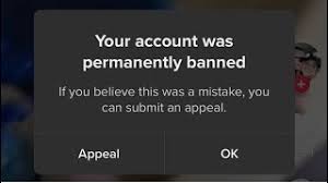 Tiktok Deleted My Account Because I M A Latina Trans Woman