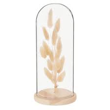 See more ideas about crafts, diy, diy projects. Dried Flowers In Glass And Pine Bell Jar H25 Maisons Du Monde