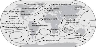 Hmh Unit 1 Lesson 2 Quiz Circulation In Earth S Oceans Diagram Quizlet