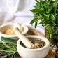 Growing Healing Kitchen Herbs
