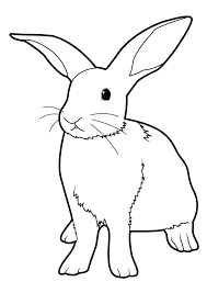 Image de lapin a dessiner image de, dessins en couleurs à imprimer lapin numéro 131 Dessins De Coloriage Lapin A Imprimer