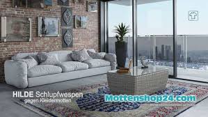 Hilde Schlupfwespen Gegen Kleidermotten Spuren Motteneier Auch An Allen Ecken Und Enden Von Teppichen Auf Besetzen In 2020 Vintage Teppiche Wohnzimmer Ideen Haus Deko