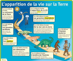 Ressources Sur La Prehistoire Videos Et Fiches Pedagogiques Ressources Pour La Jeunesse Enseignement De L Histoire La Vie Sur Terre Frise Chronologique