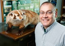 Will the killer White Nose Syndrome infect bats in Illinois?