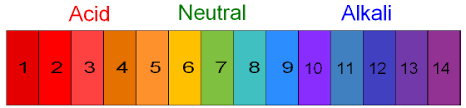 Universal Indicator Ph Color Chart Best Picture Of Chart