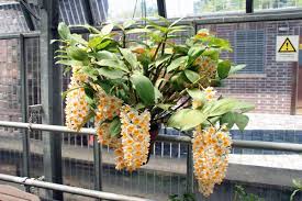 Metered parking is available a few streets away at eichplatz. Der Botanische Garten In Jena