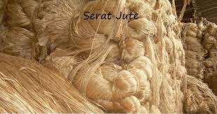 Penjelasan lebih detail mengenai pengertian serat ada di. Serat Yang Berasal Dari Tumbuhan Dan Gambarnya Fadhillahxnd