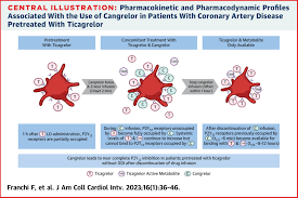 Image result for Cangrelor