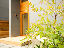 Stone, interior design furniture, condo interior design, house outer painting designs, architectural design, house color design exterior, house design pictures, house siding colors simulator house designs for small house, italian interior design, interior design nyc, outdoor design of house. Exterior Wall Design Ideas Realestate Com Au