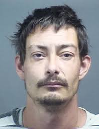 Maryville man charged with killing girlfriend