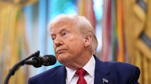 In Deena Mohamed's 'Shubeik Lubeik,' wishes become a symbol for wealth :  NPR's Book of the Day : NPR