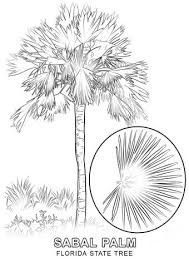 Usa printables state of florida coloring pages. Pin On Geography