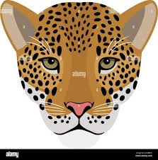 Jaguar front Stock Vector Images - Alamy