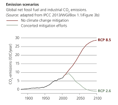 Rcp8.5 gets the most attention. Understanding Climate Change Scenarios