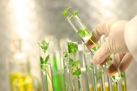 We did not find results for: Plant Tissue Culture Environmental Condition Methods Types Amp Application